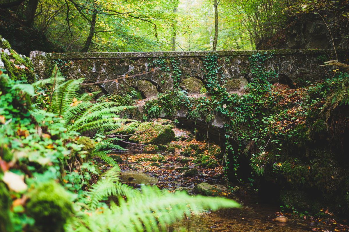 Steinbrücke im Wald